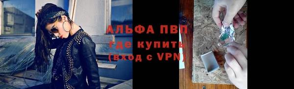ECSTASY Алзамай