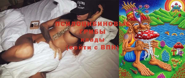 МДПВ Абинск